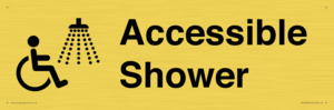 Accessible Shower